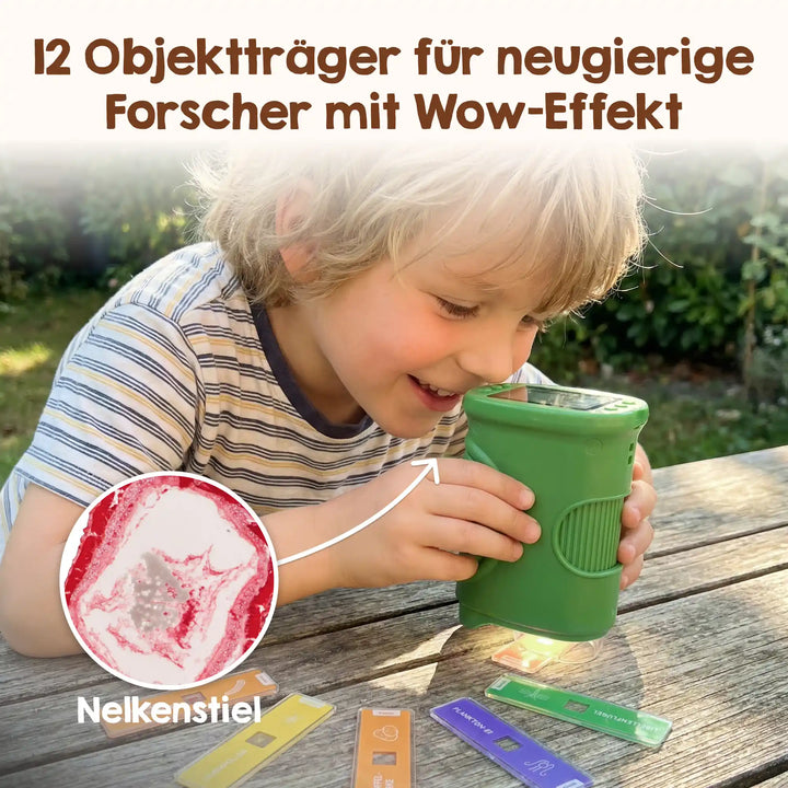 Objektträger für Mikroskop