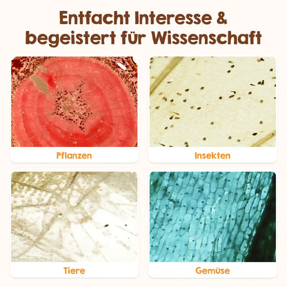 Objektträger für Mikroskop
