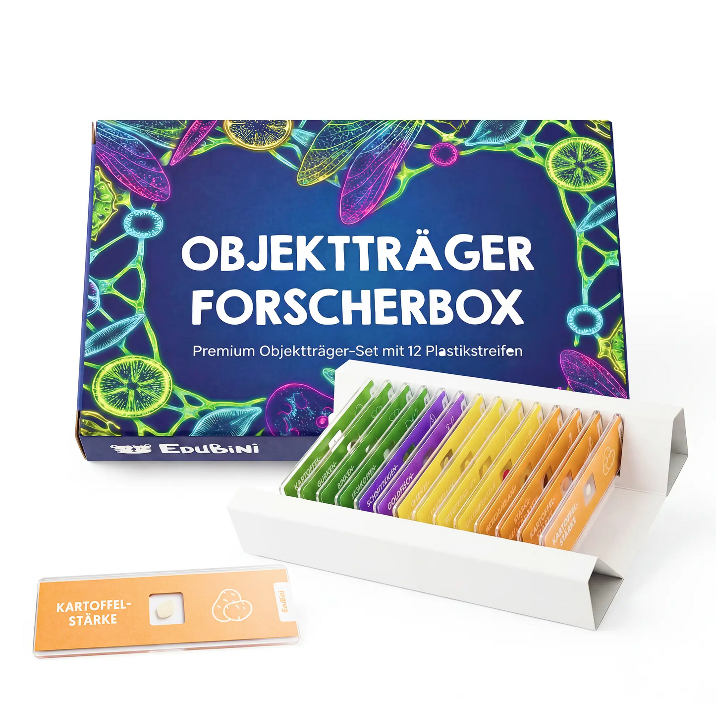 Objektträger für Mikroskop